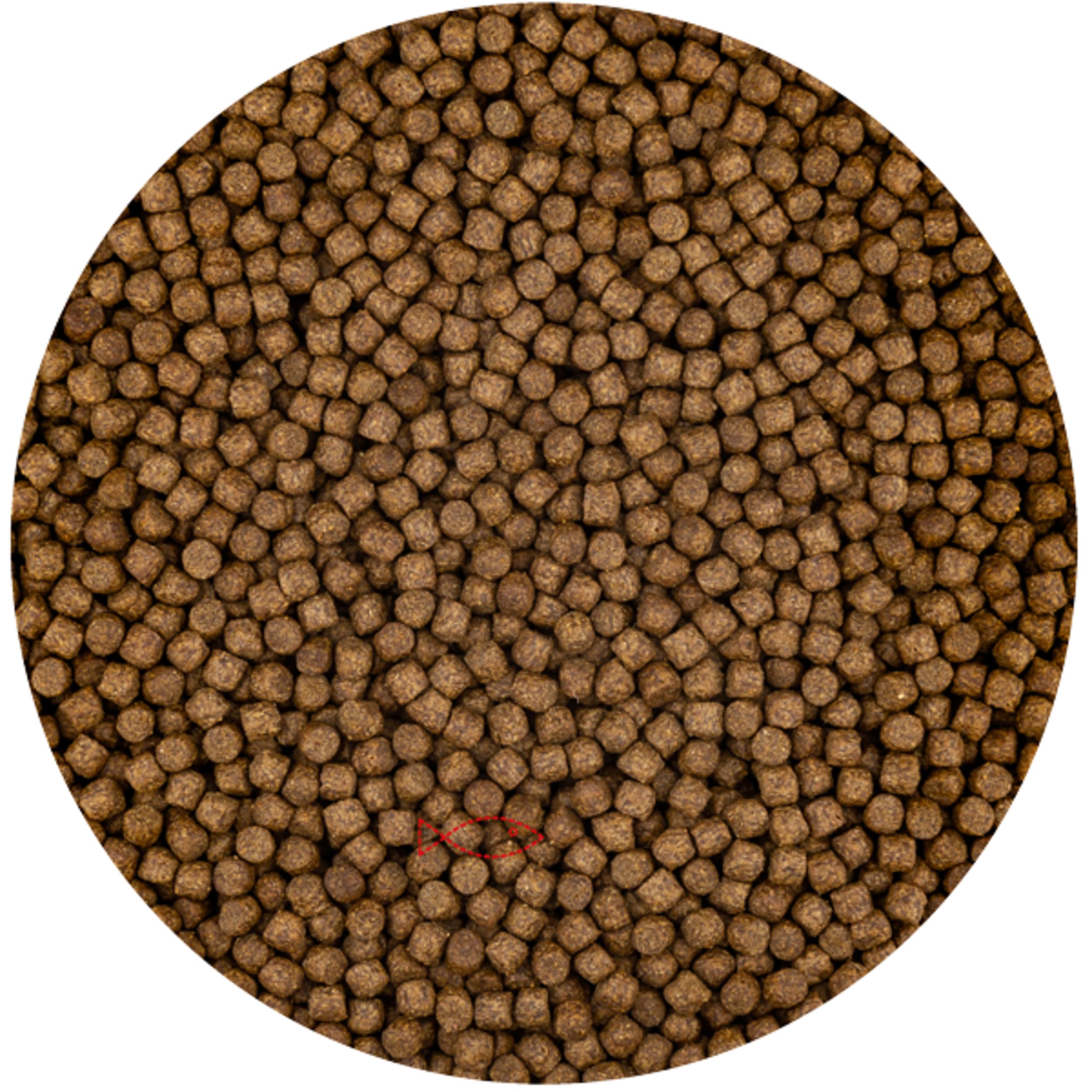 Woondecoratie, Vloerkleed