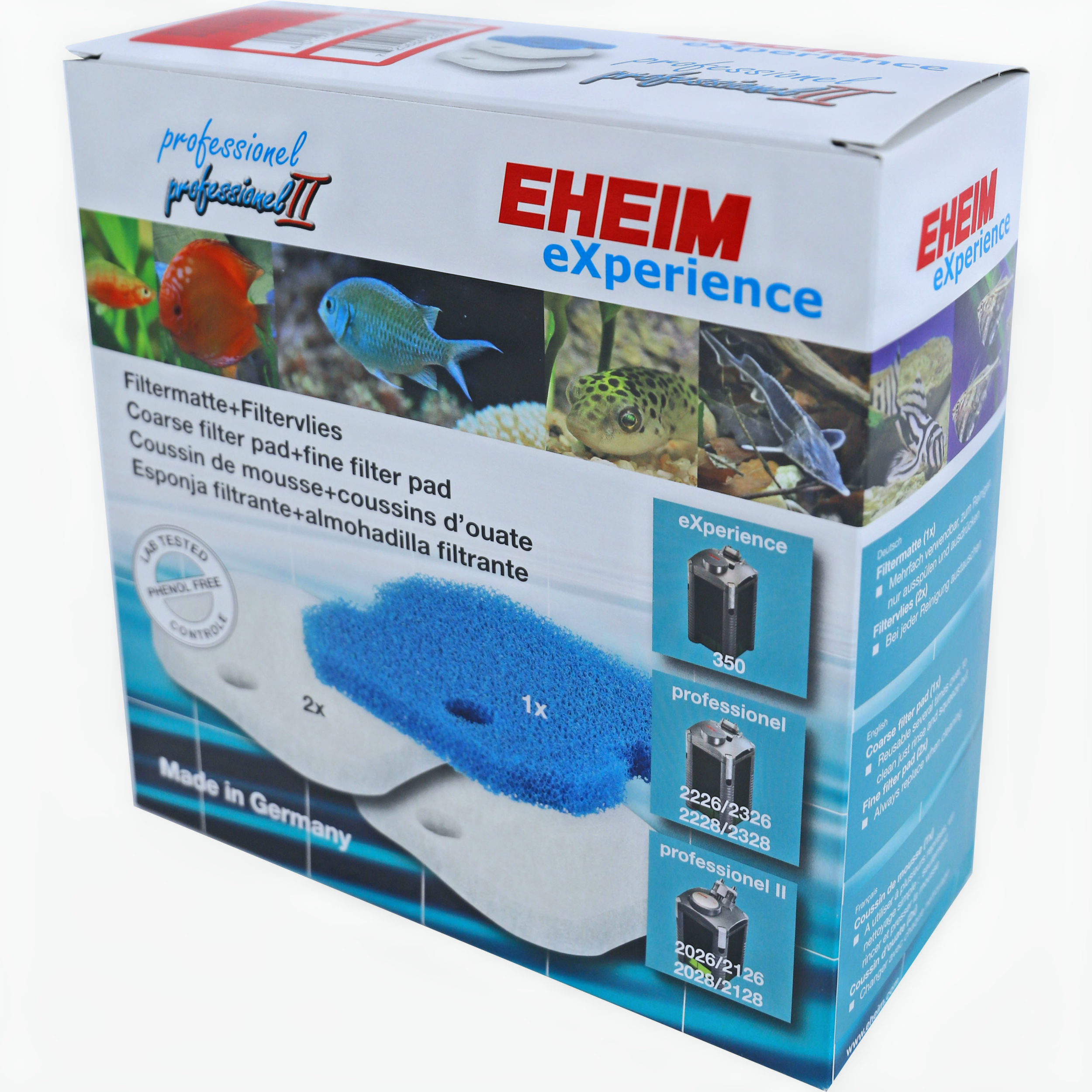 Dier, Vis, Zeeleven, Aquarium, Water