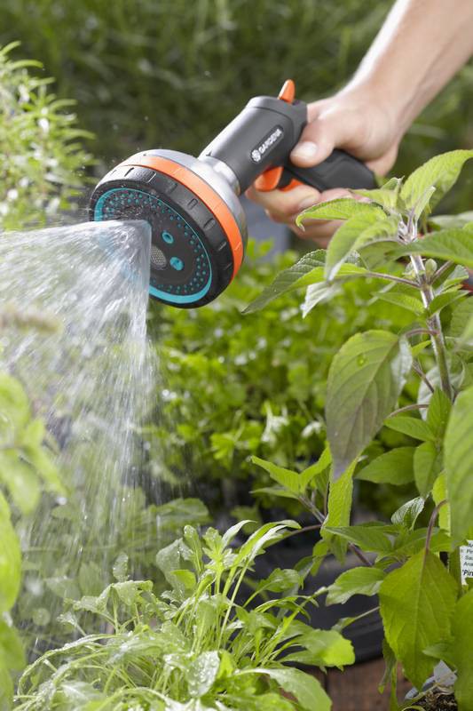 Tuin, Natuur, Buitenshuis, Tuinieren, Binnenshuis