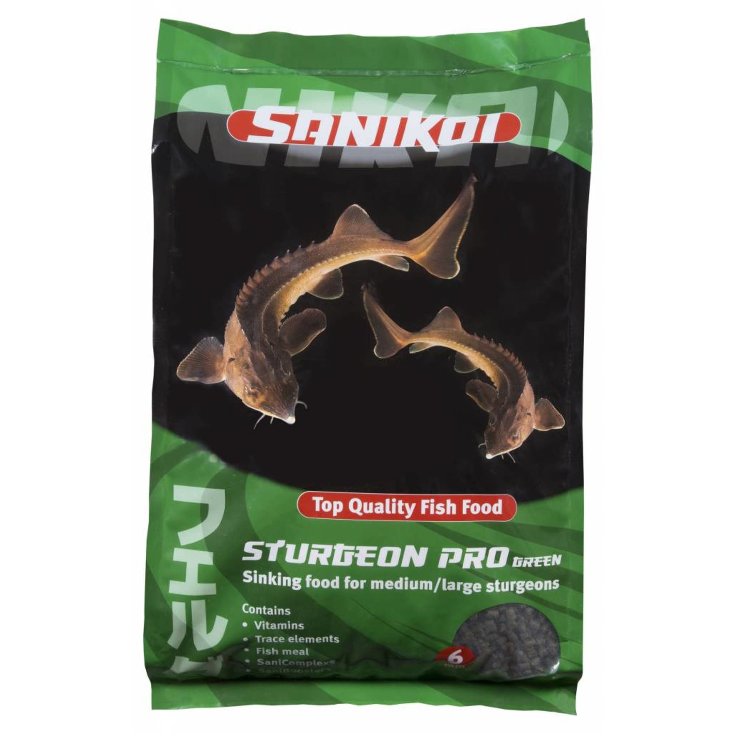 Dier, Vis, Zeeleven, Hagedis, Reptiel