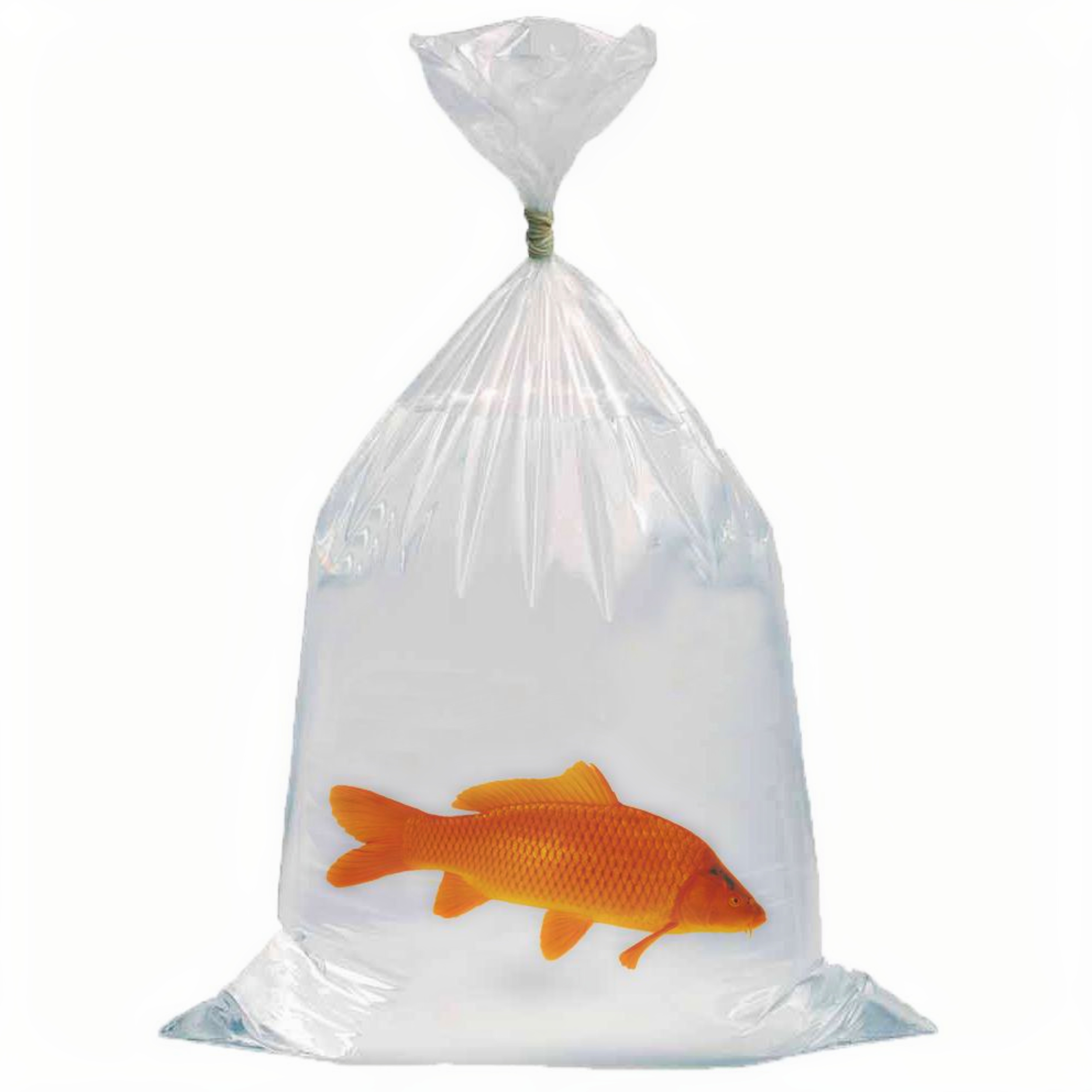 Kunststof, Tas, Vis, Zeeleven, plastic zak