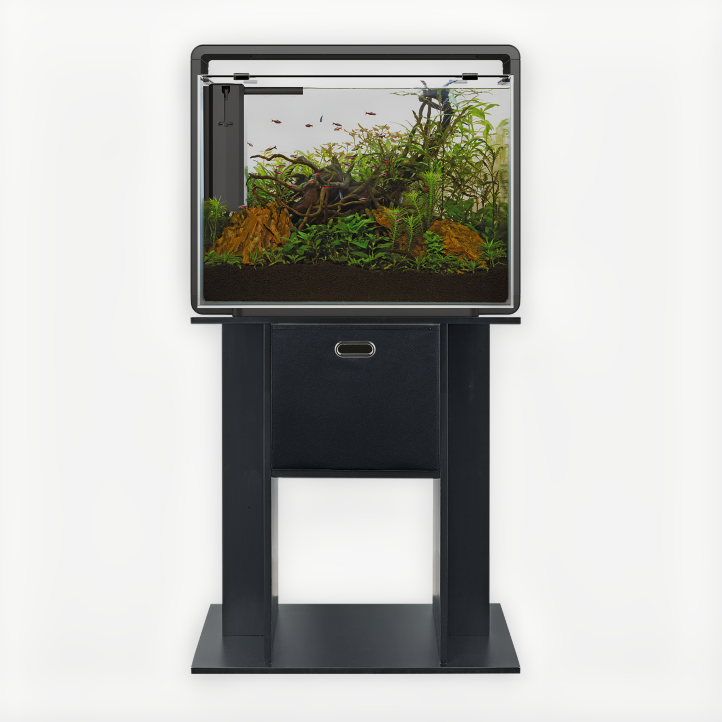 Dier, Aquarium, Vis, Zeeleven, Water