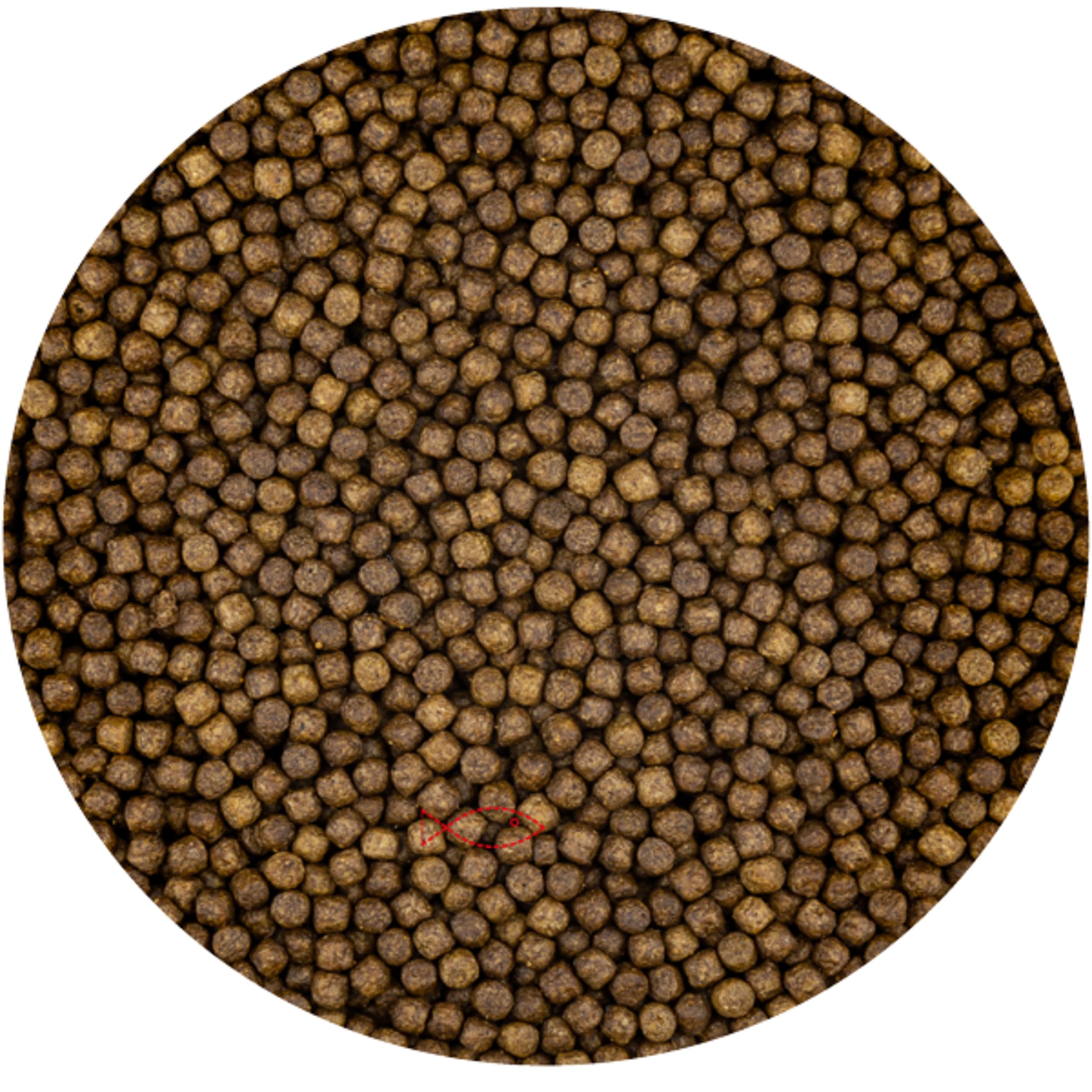 Woondecoratie, Vloerkleed