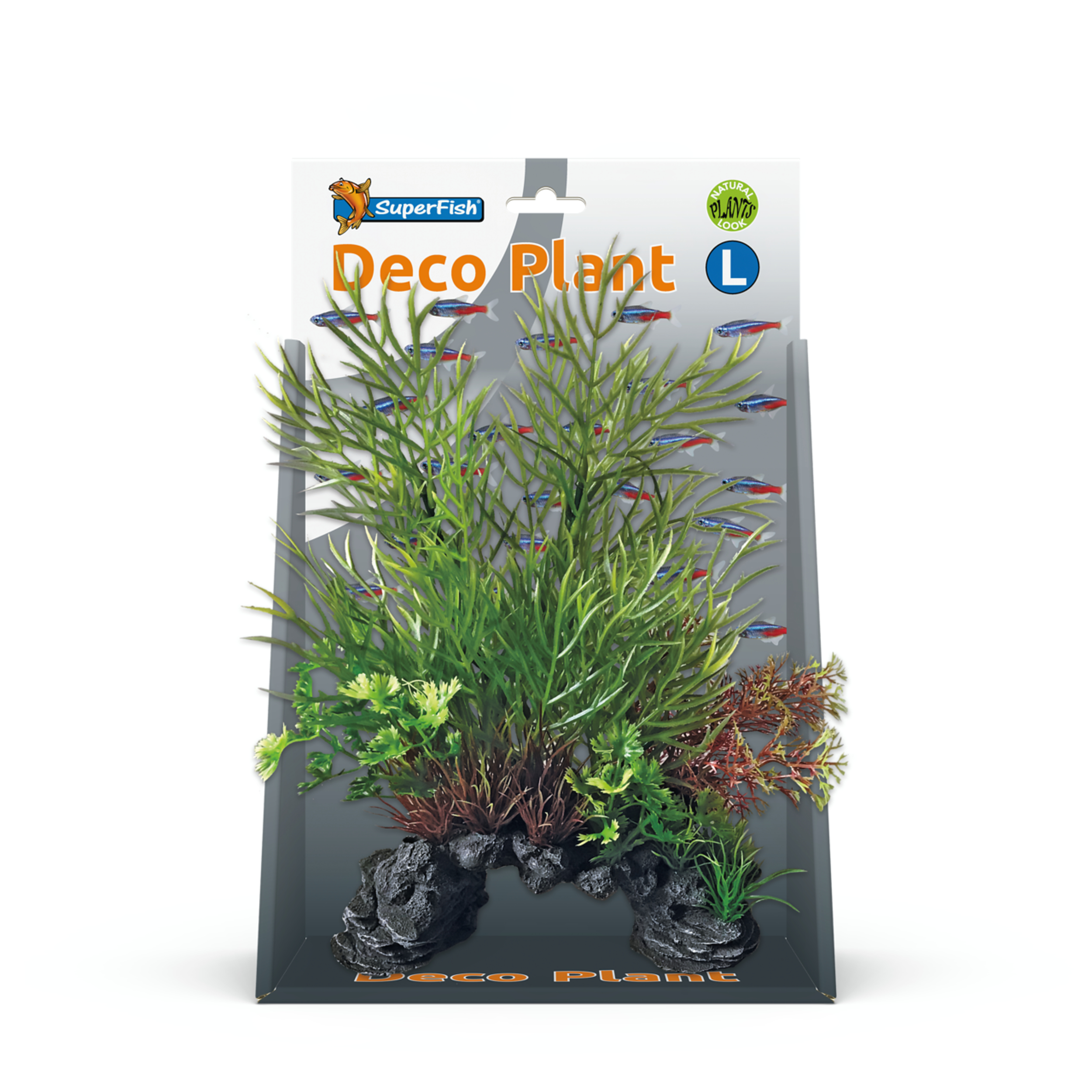 Plant, Potplant, Aquarium, Aquatisch, Kruiden